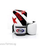 Fairtex Muay Thai Boxing Gloves White Nation